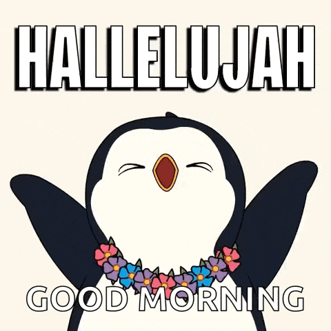 Yes Penguin GIF