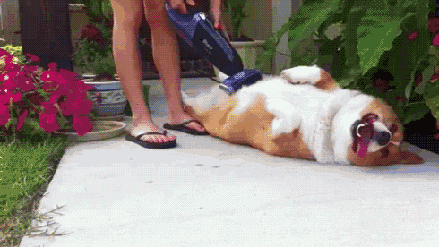 Yessssss GIF