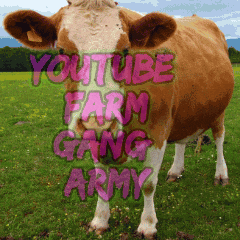 Yfga GIF