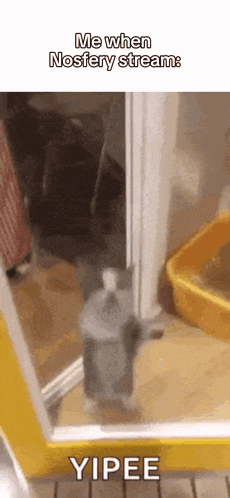 Yippee Streamer GIF