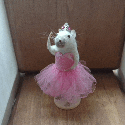 Yo Bro Why Is My Mouse Acting Like A Princess Meme