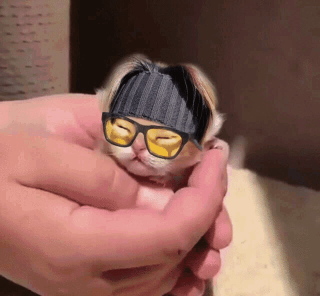Yoongi Cat Bts Cat GIF