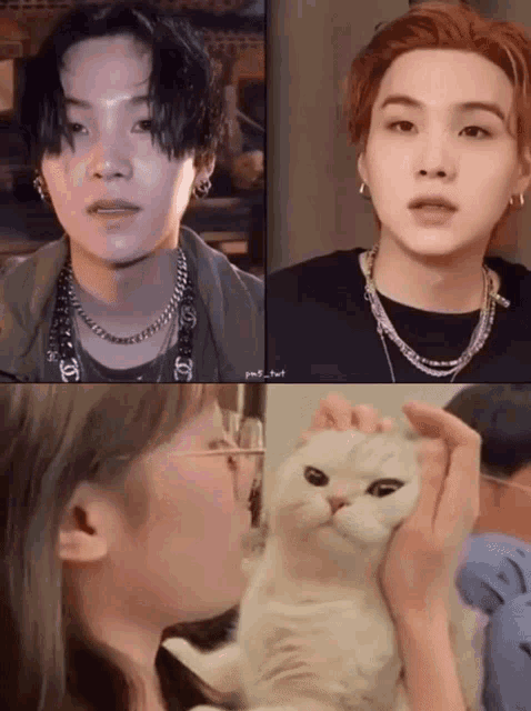 Yoongi Cat Suga Cat GIF
