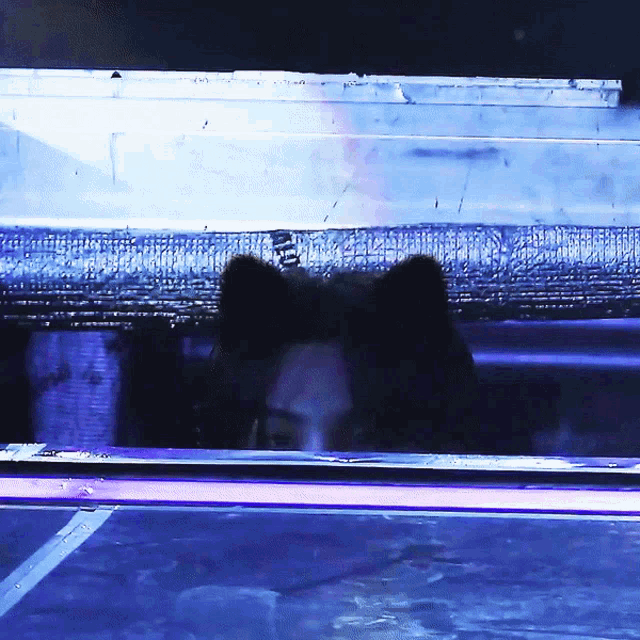 Yoongi Cat Suga Cat GIF