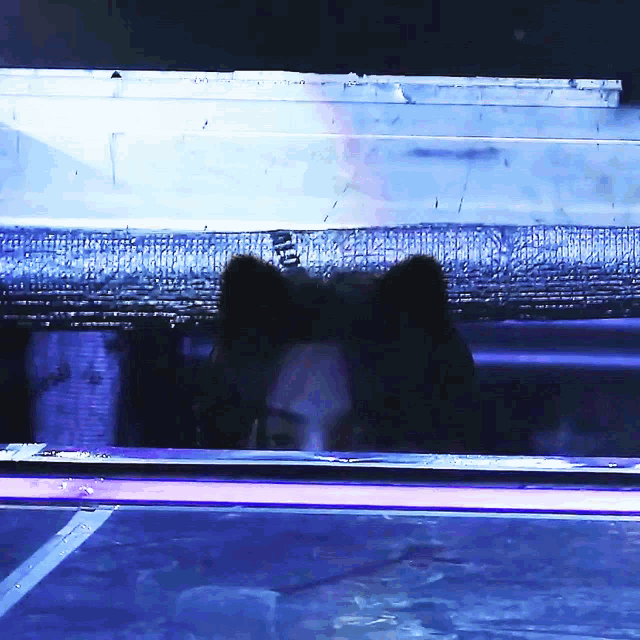 Yoongi Cat Suga Cat GIF