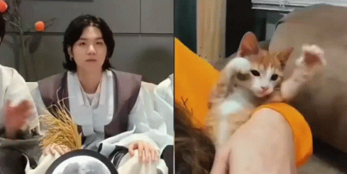 Yoongi Cat Suga Cat GIF