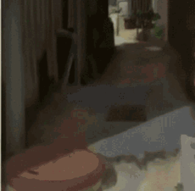 Yotsuba 404girl GIF