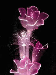You Are Beautiful Changing Colors GIF