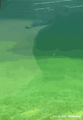 You Busy Are You Busy GIF