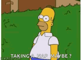 You Cant See Me Homer GIF