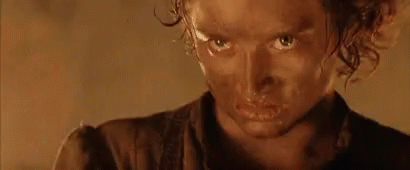 You Know Frodo GIF