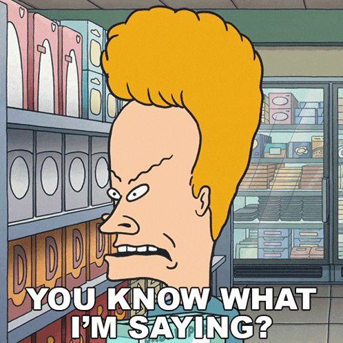 You Know What Im Saying Beavis GIF