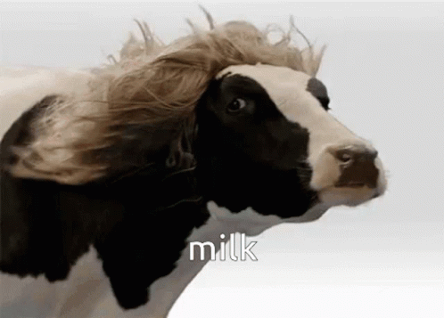 You Milking GIF