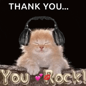 You Rock Cat GIF
