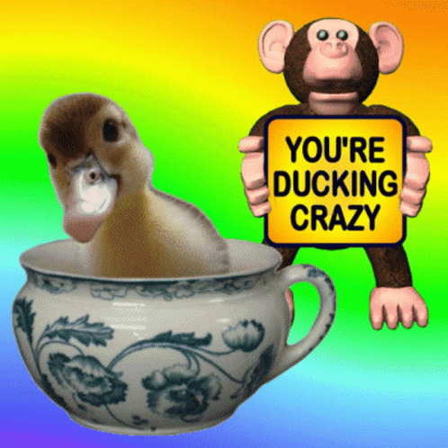 Youre Ducking Crazy Youre Crazy GIF