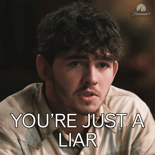You'Re Just A Liar Carter GIF