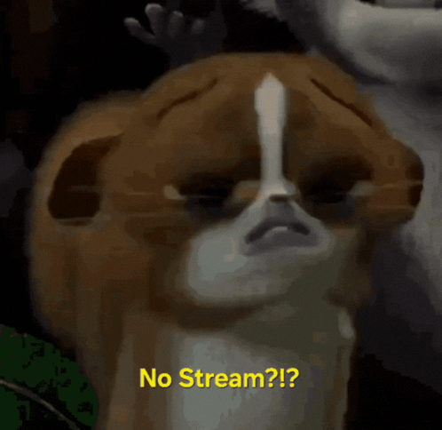 Youtube Streaming GIF