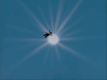 Yu Yu Hakusho Hohoemi No Bakudan GIF