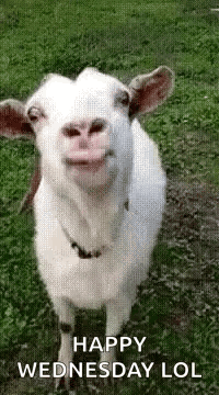 Yummy So GIF