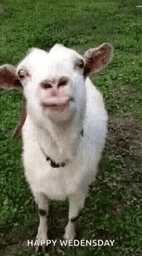 Yummy So GIF