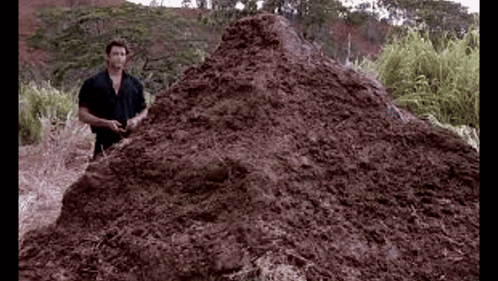 Zedou GIF