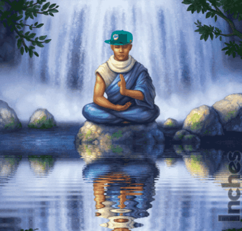 Zen Miami Dolphins GIF