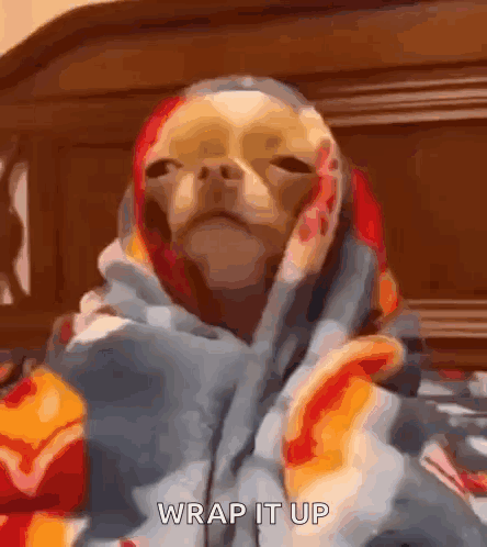 Ziarastar GIF