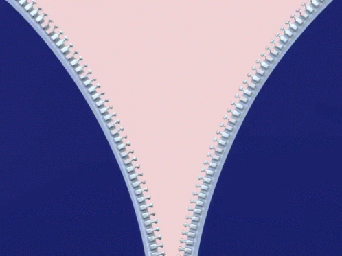 Zipper Zipper Up GIF