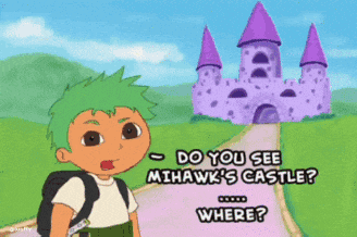 Zoro Castle Direction GIF