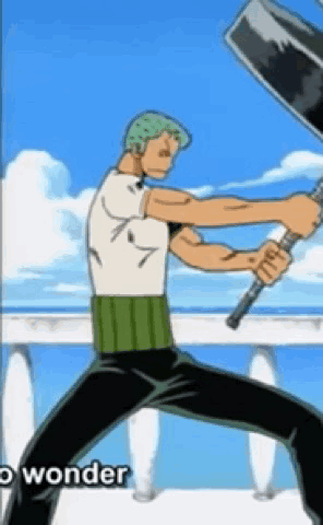 Zoro Pirate GIF