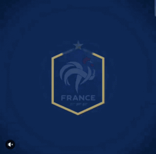 équipe De France Logo GIF