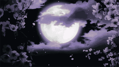 öylesine GIF