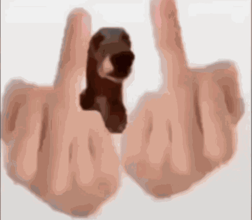 аааа GIF