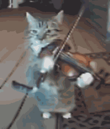 аметист GIF