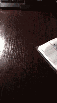 пташко Knock On Wood GIF