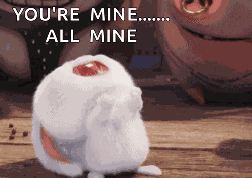 兔子 Secret Life Of Pets GIF