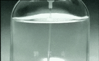 劉若英 René Liu 透明 Transparency GIF