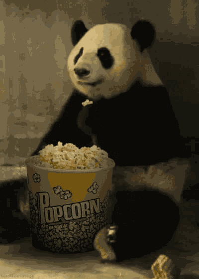 熊猫 爆米花 搞笑 GIF