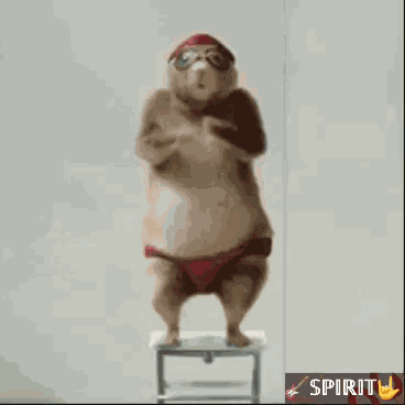 스피릿짤2 GIF