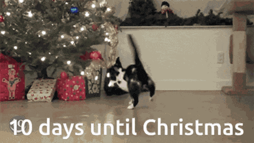 10 Days Left 10 Days Until Christmas GIF