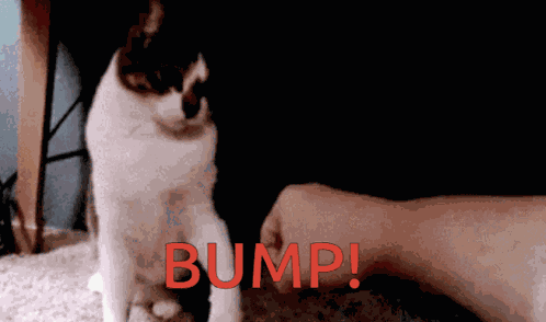 100xchillserver Bump GIF