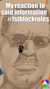 1stblockrules Meow GIF