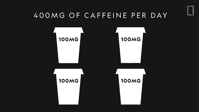400mg Of Caffeine Per Day National Geographic GIF
