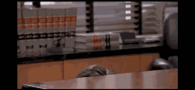 449 GIF