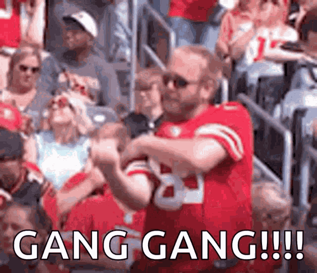 49ers Fan GIF