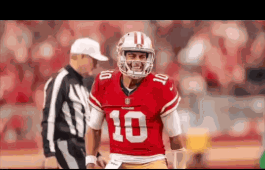 49ers Nfl GIF