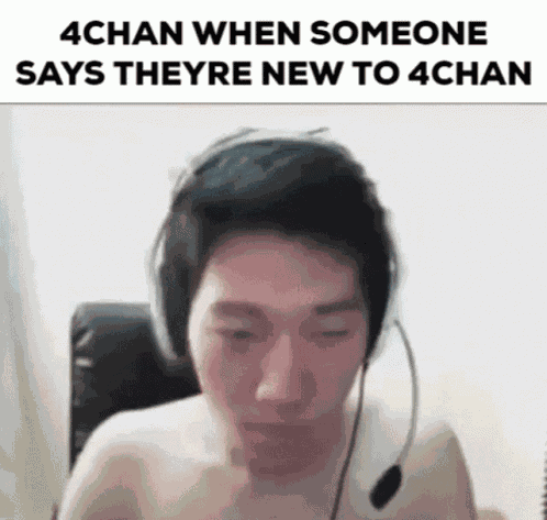 4chan 4chan Moment GIF