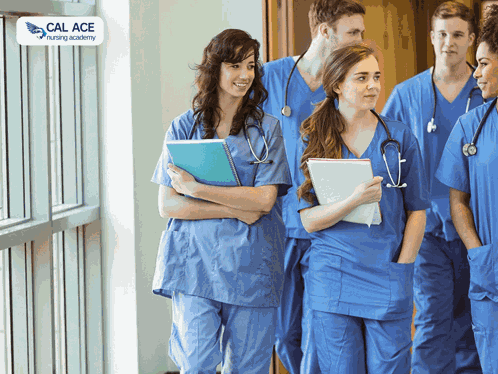 8-hour Cna Course Online GIF