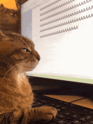 Aa Aaa GIF