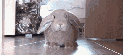 Abandon Thread GIF